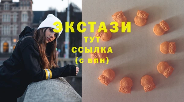 гашик Переславль-Залесский