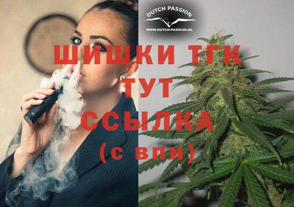 дживик Абинск