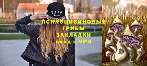 гашик Переславль-Залесский