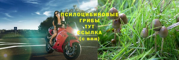 бутират Пересвет