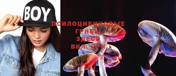 кристаллы Алексеевка