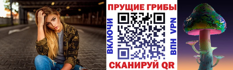 mega онион  Кохма  Псилоцибиновые грибы мицелий 